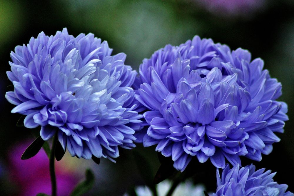 Photograph by Анна Восковых