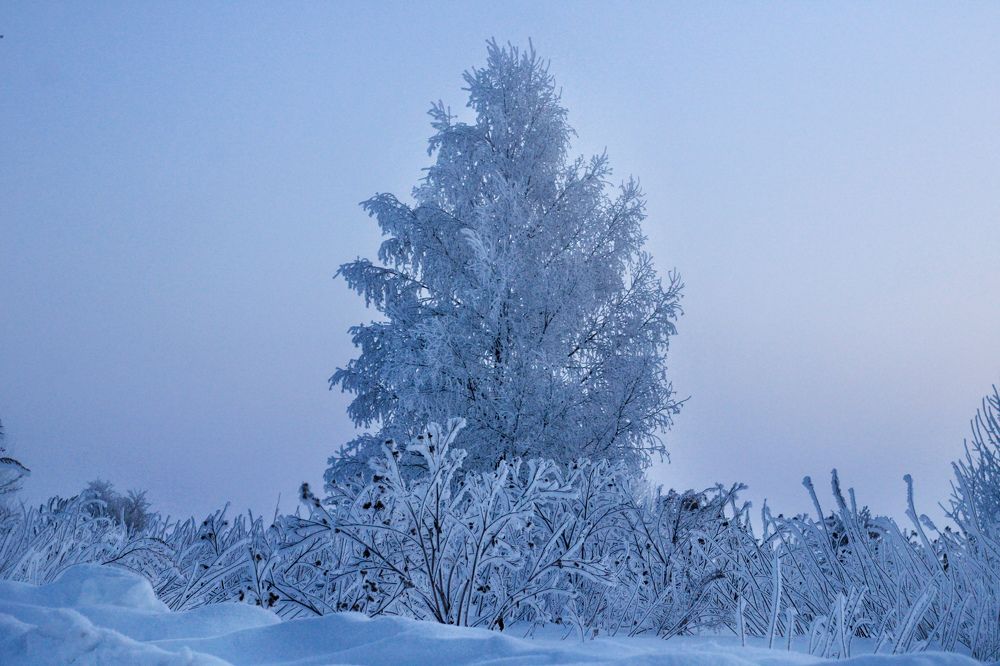 Photograph by Инна Карасева