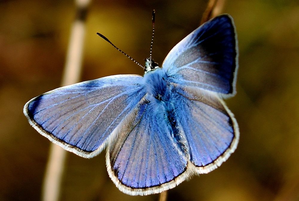 Photograph by Анна Восковых