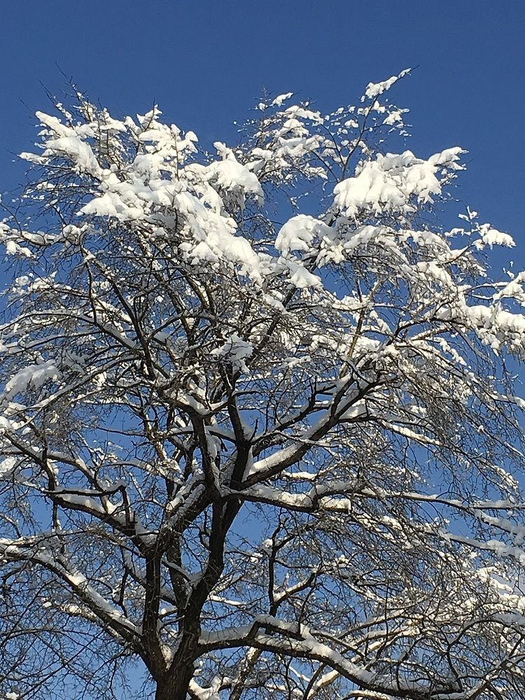 Photograph by Елена Макуха