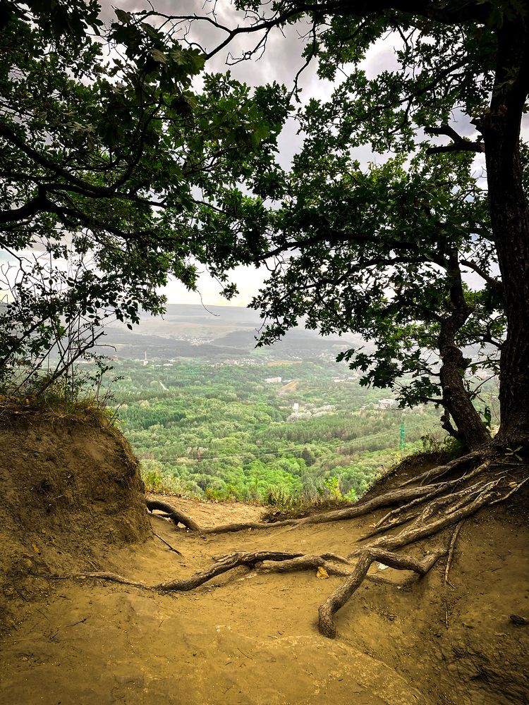 Фотография автора Рамзия Хисамутдинова