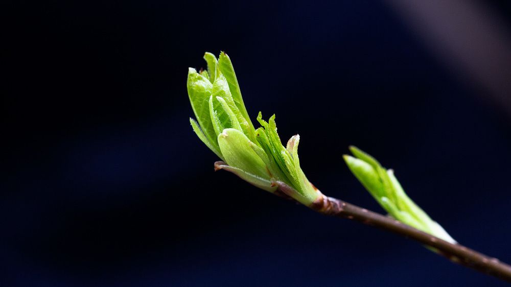 Photograph by Иван Мороз