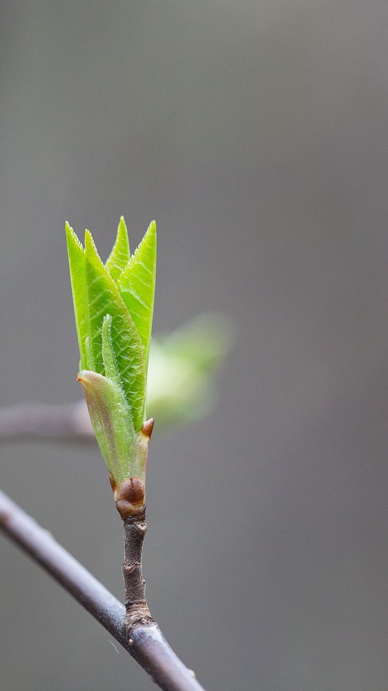 Photograph by Иван Мороз