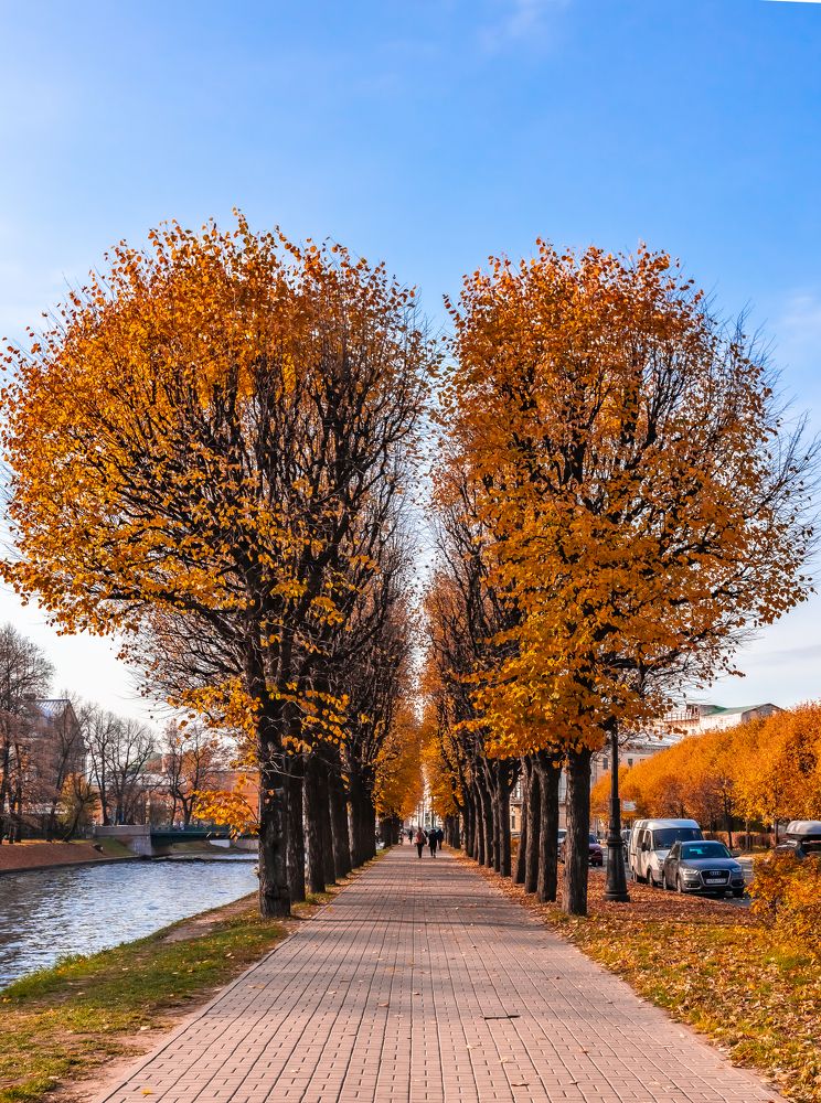 Фотография автора Rom@shkin