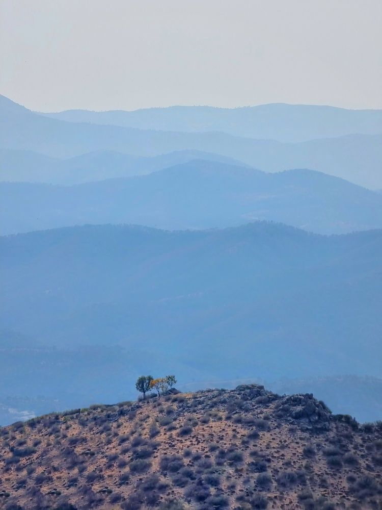 Photograph by Ali goreishi