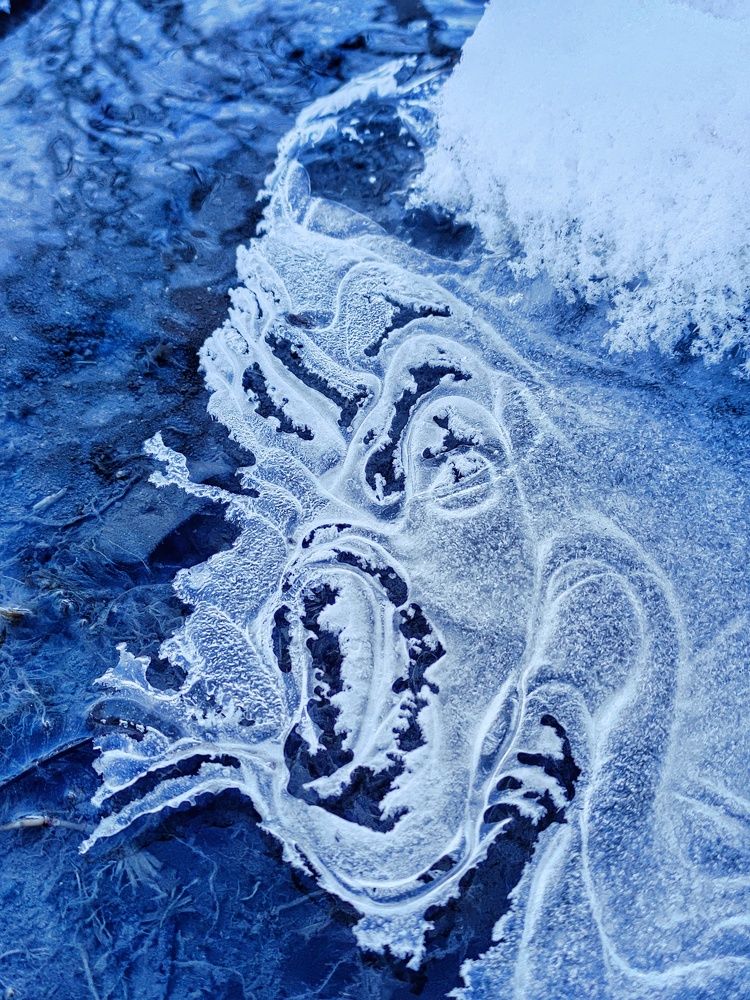 Photograph by Ali goreishi