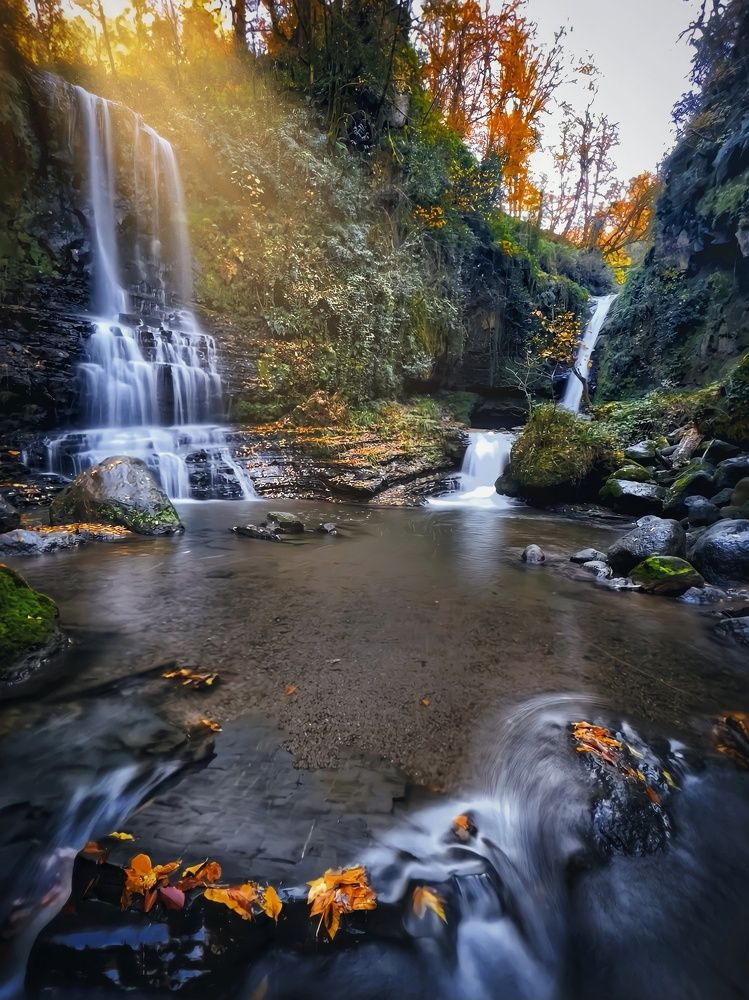 Photograph by Ali goreishi