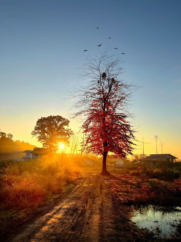 Photograph by Ali goreishi