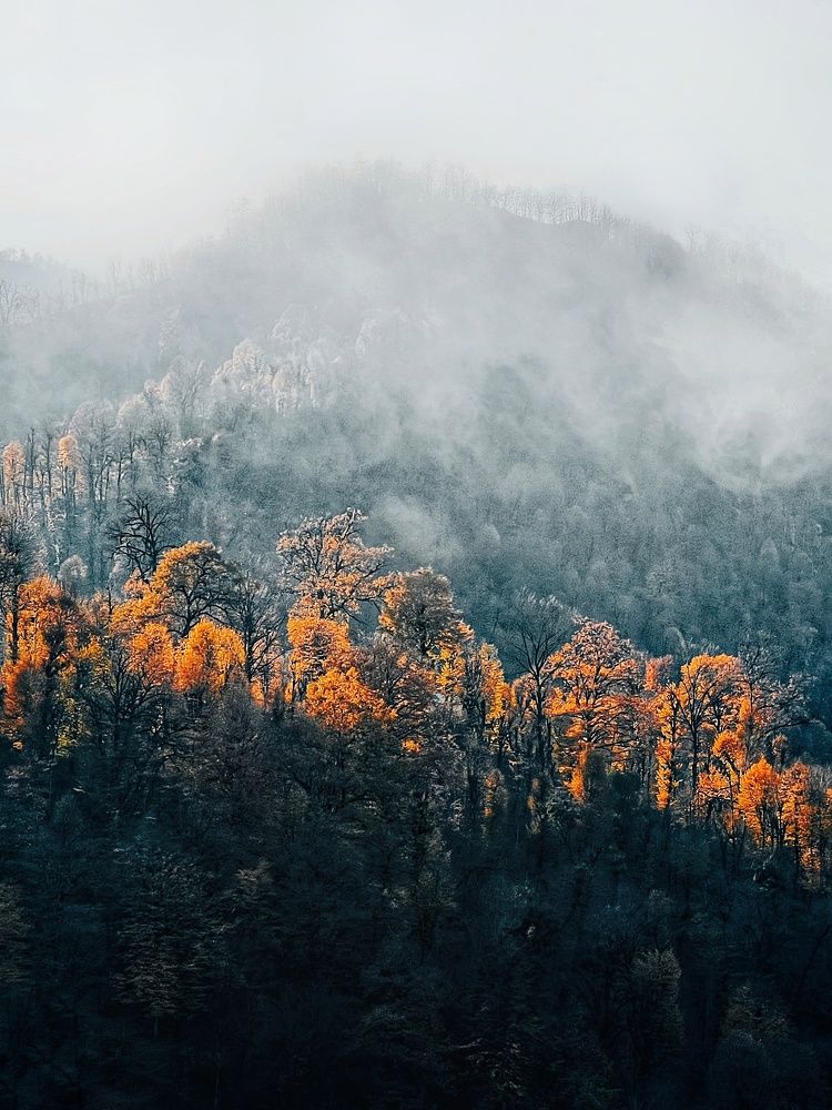 Photograph by Ali goreishi