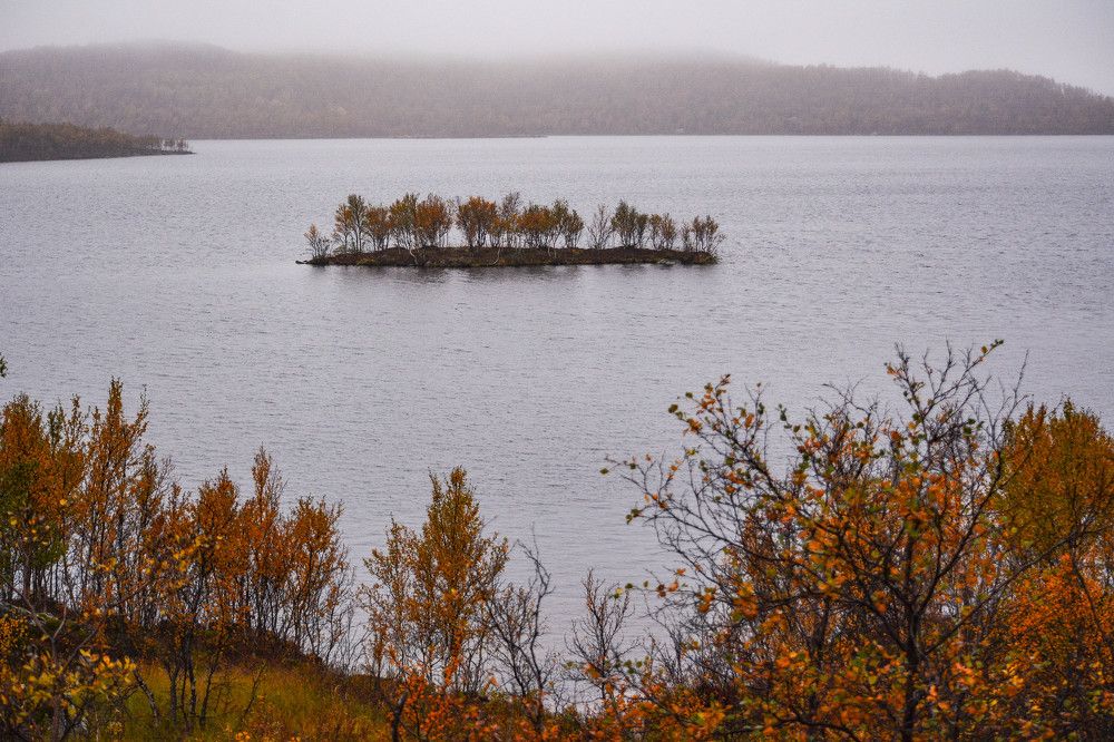 Photograph by Tanzilya Gabidullina