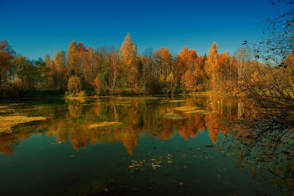 Photograph by Николай Феофанов