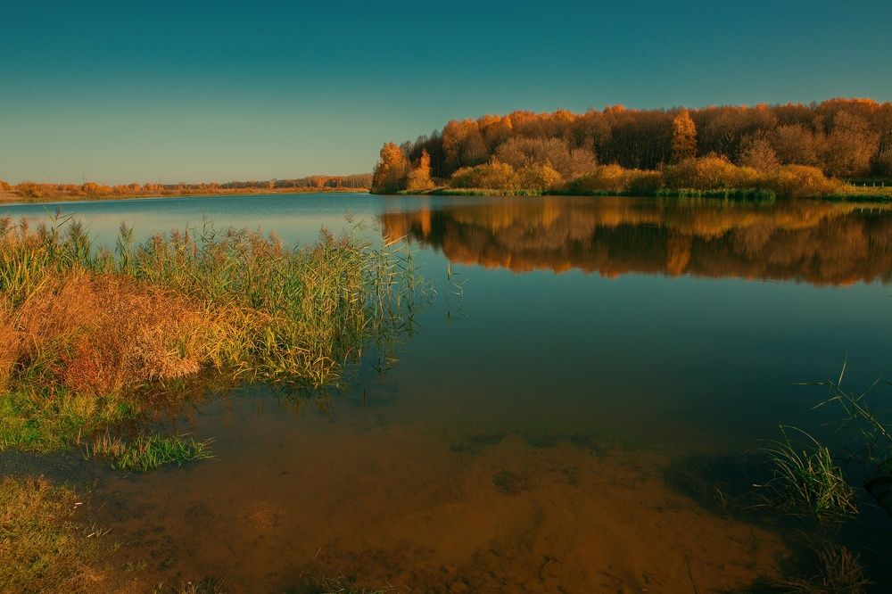 Photograph by Николай Феофанов