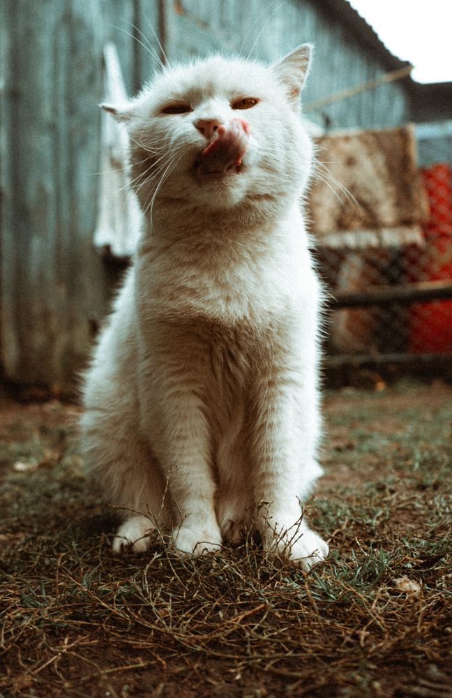 Photograph by Анастасия Разорвина