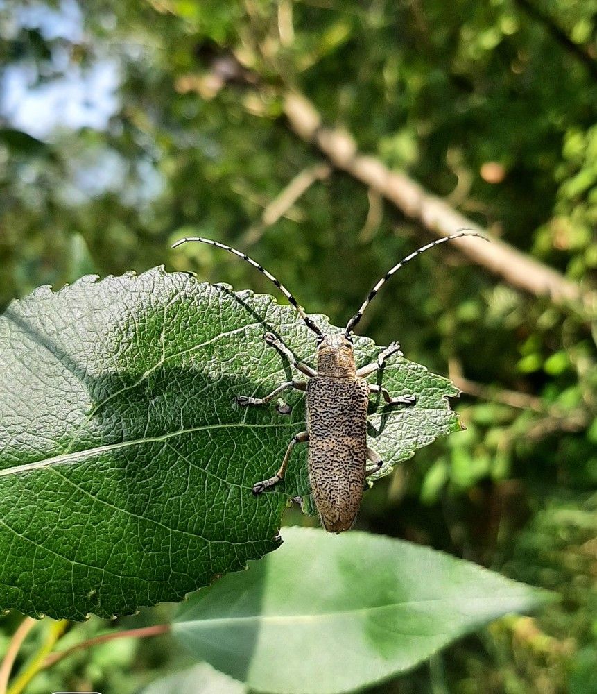 Photograph by Елена Горева