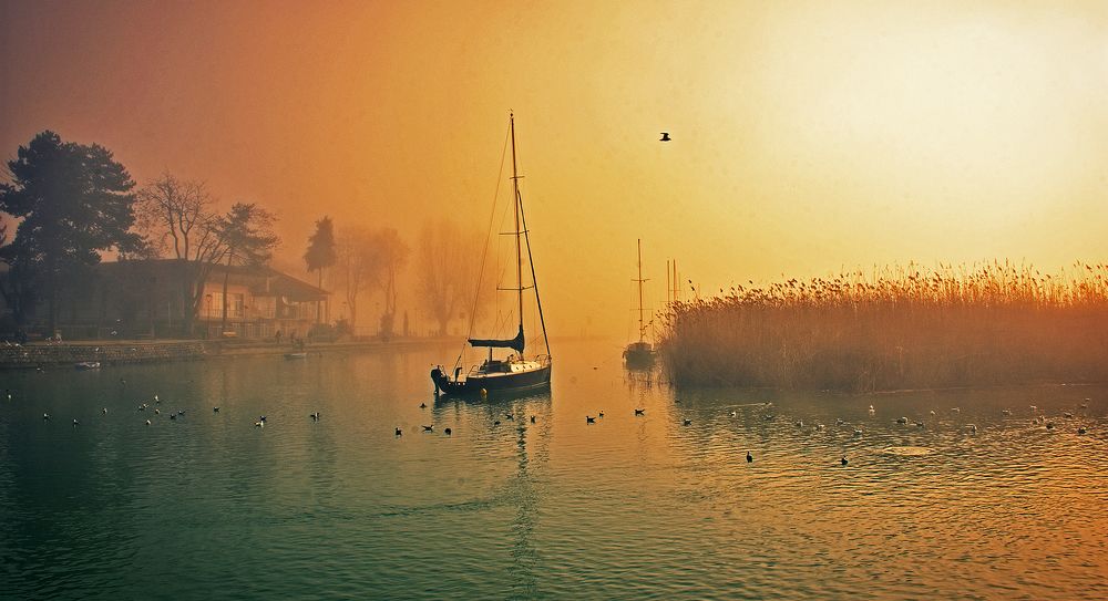 Photograph by Stojan Saveski