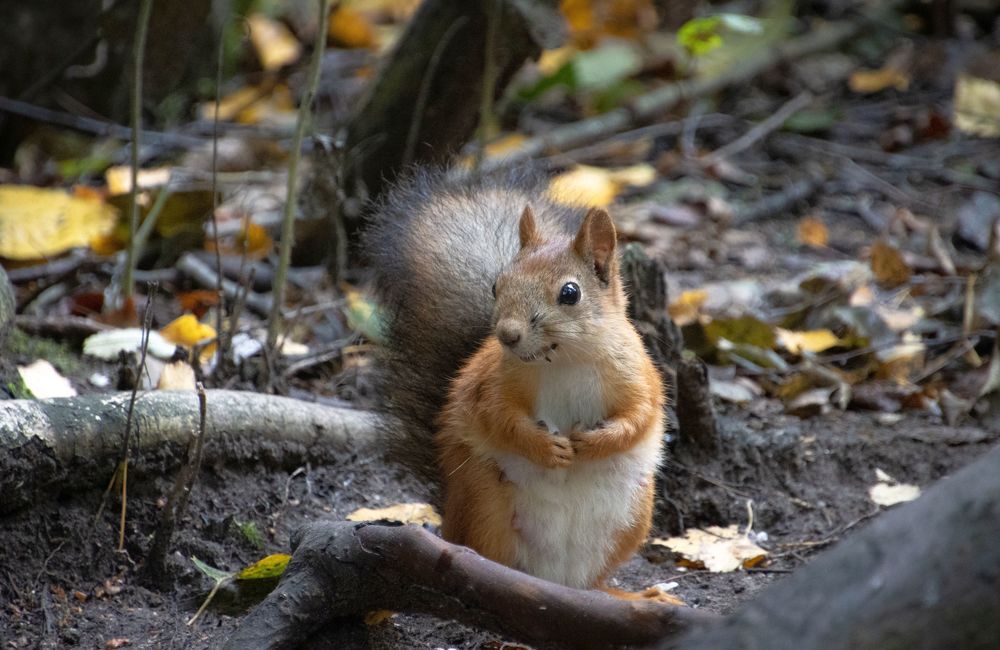 Photograph by Epp Tappel