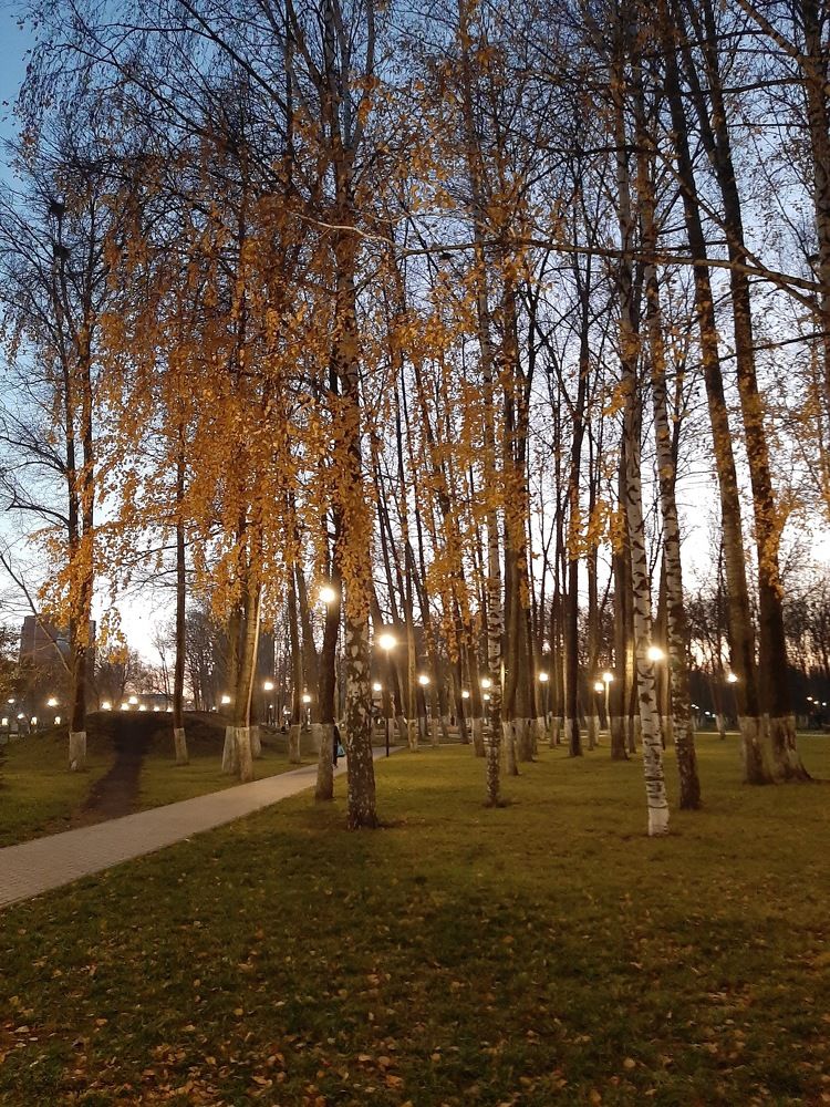 Photograph by Елена Горева