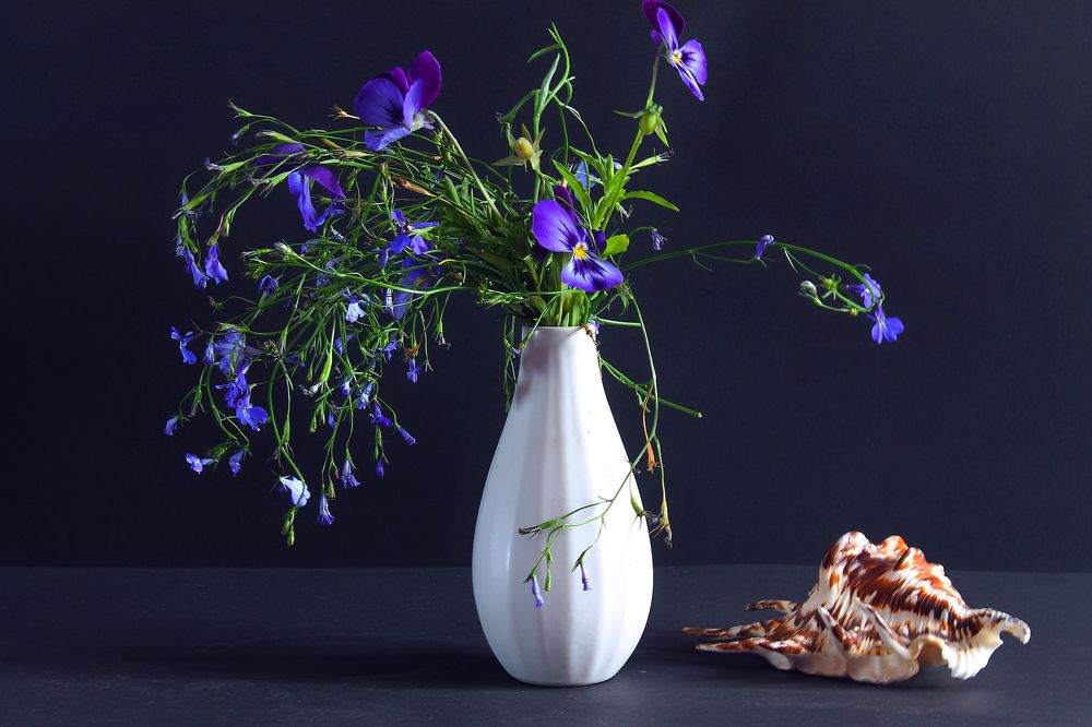 Photograph by Тамара Кремлева