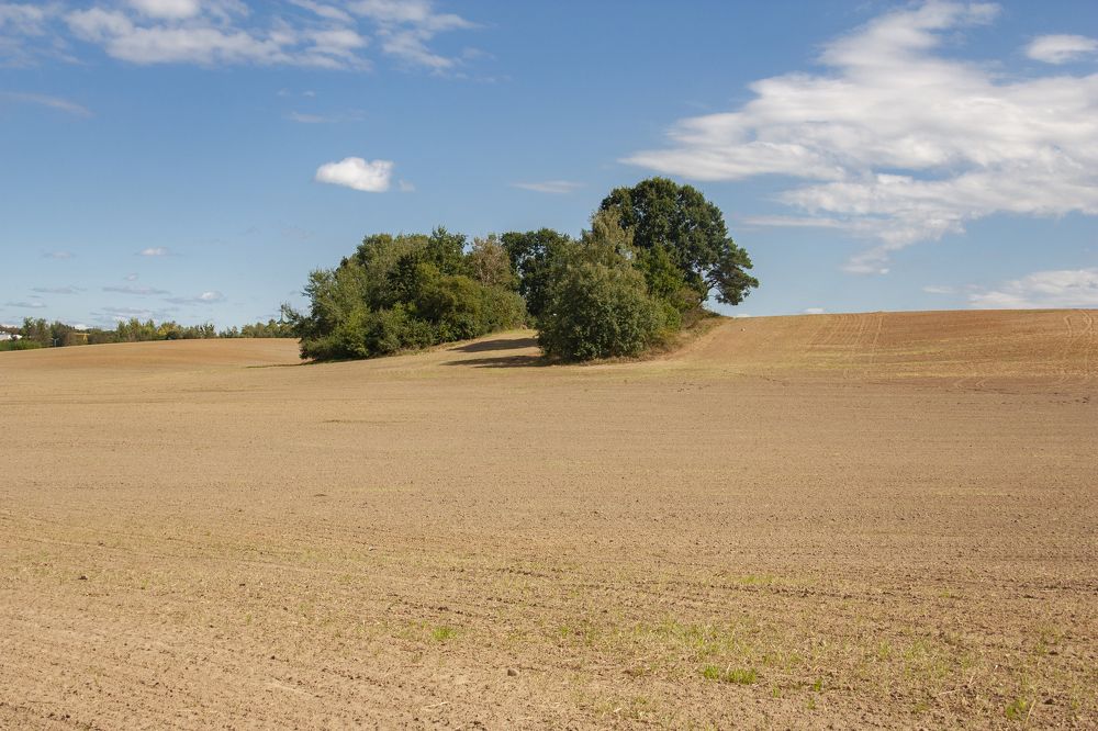 Photograph by Александр Архипов
