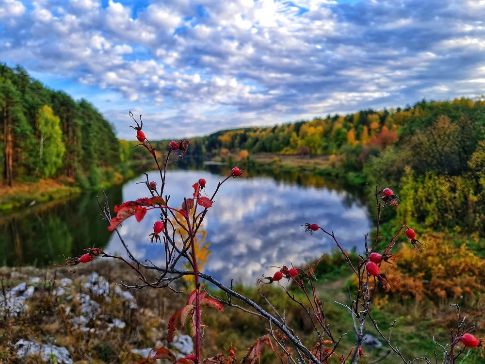 Photograph by Роман Сычев