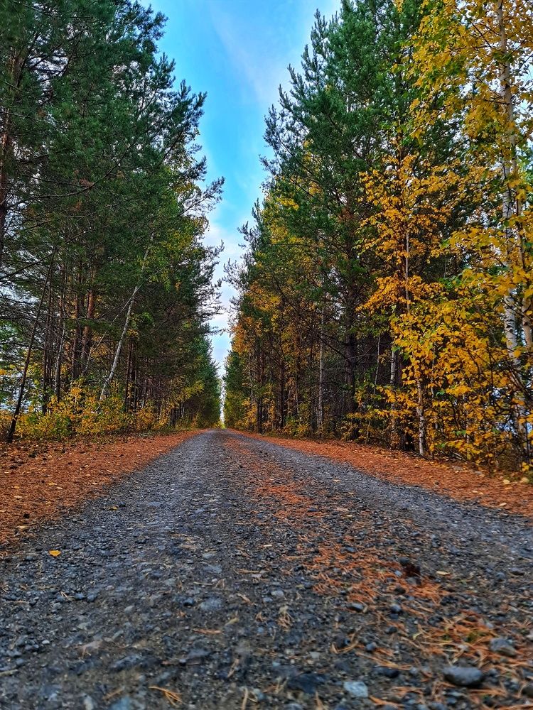 Photograph by Роман Сычев