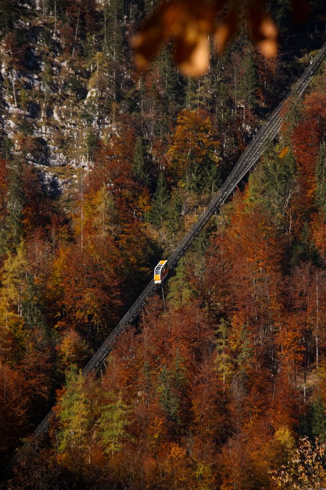 Photograph by Alena Vaganova