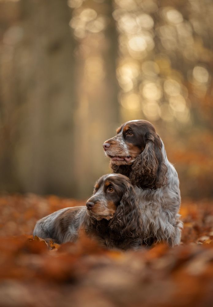 Photograph by Yong Lei van Barlingen