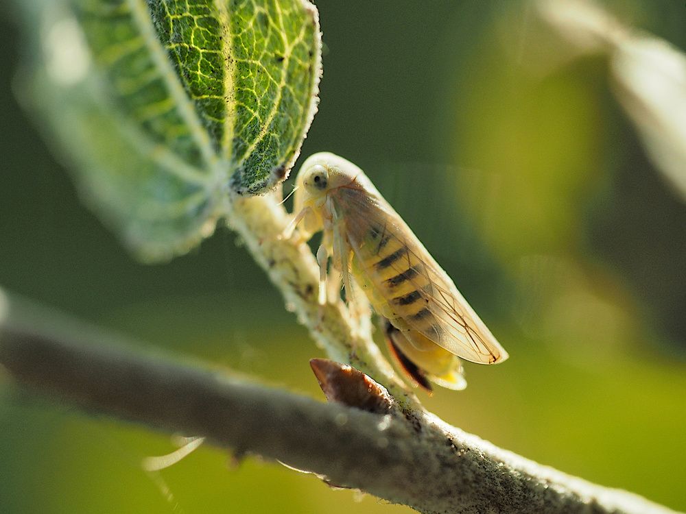 Photograph by Ирина Протченко