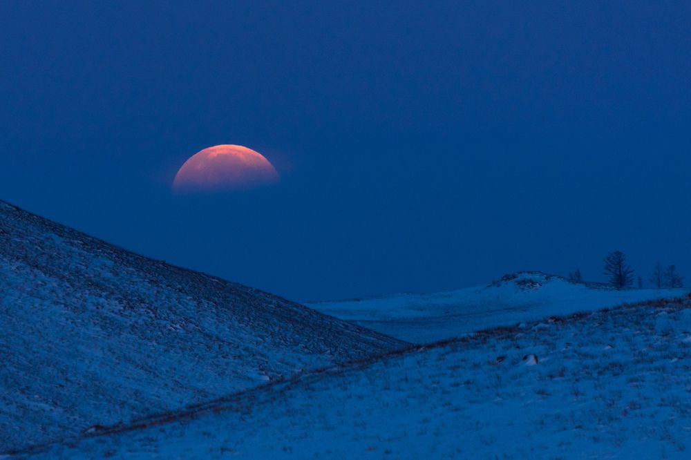 Photograph by Крицак Ольга