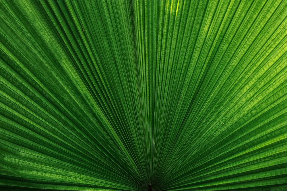 Photograph by Marko Stoickov