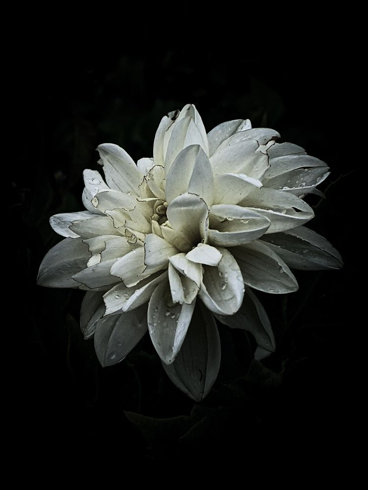 Photograph by Дарья Макаревич