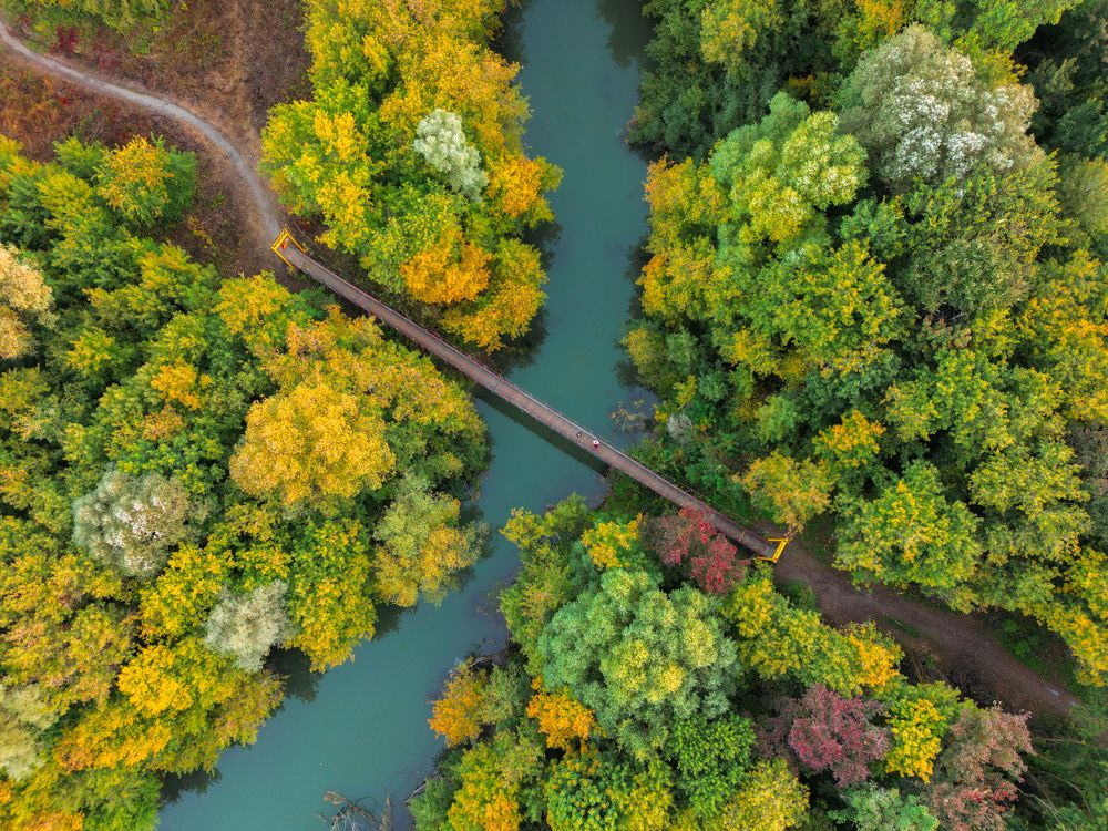 Photograph by Ксения Илюшина