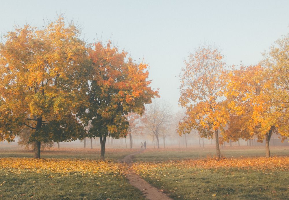 Photograph by Ранчинский Дмитрий