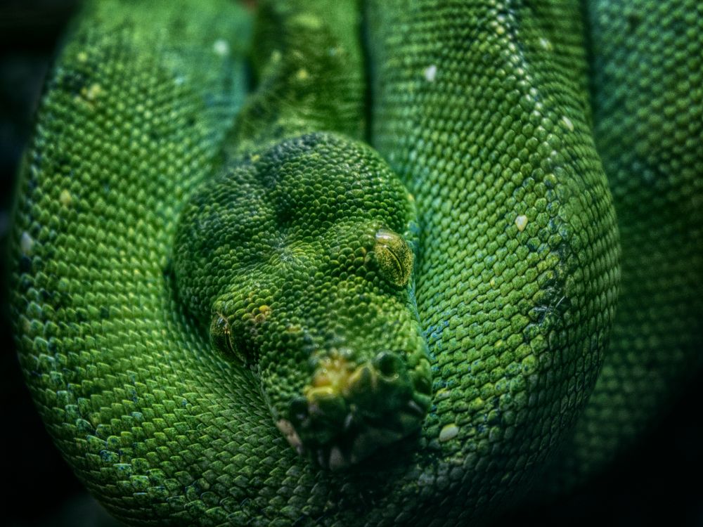 Photograph by Marko Stoickov