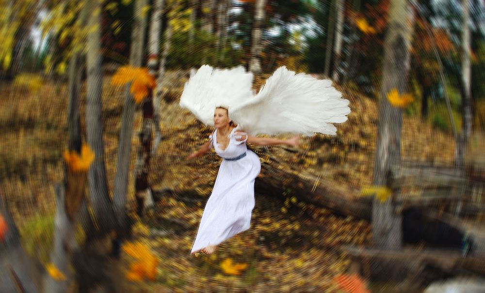Photograph by света Голота