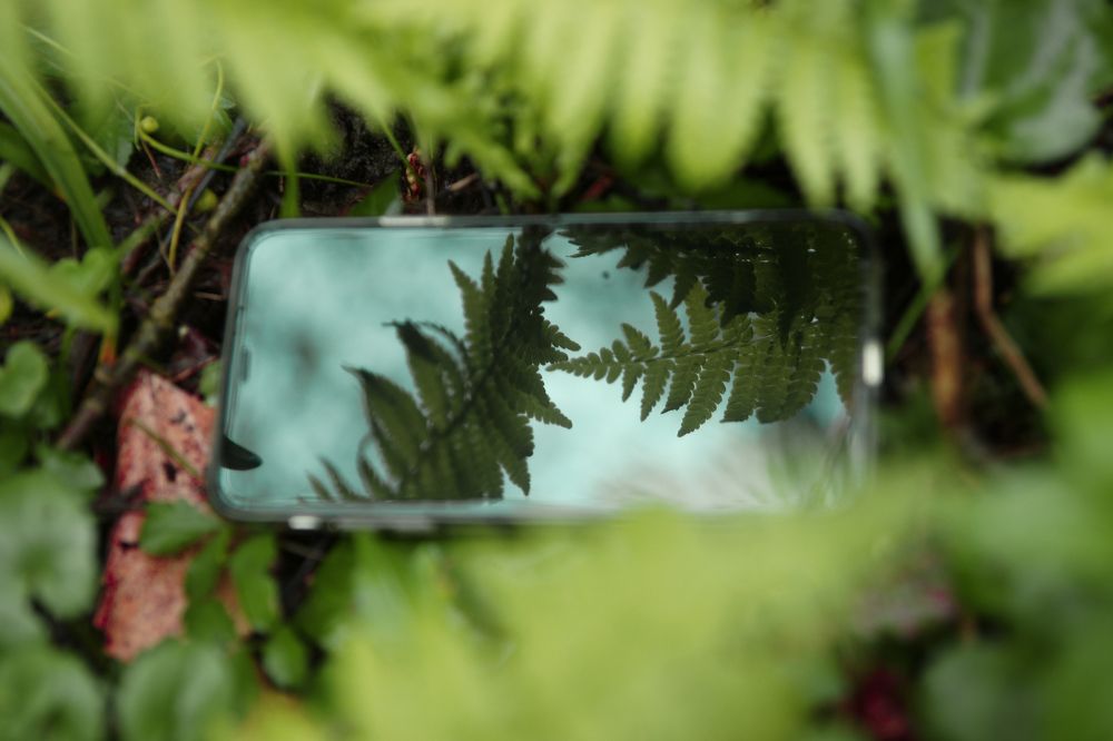 Фотография автора ЛАРА УСАЧЕВА