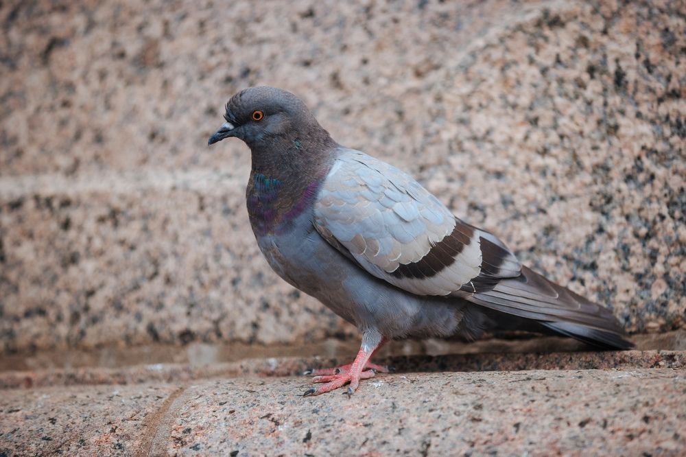 Photograph by Анастасия Петрова