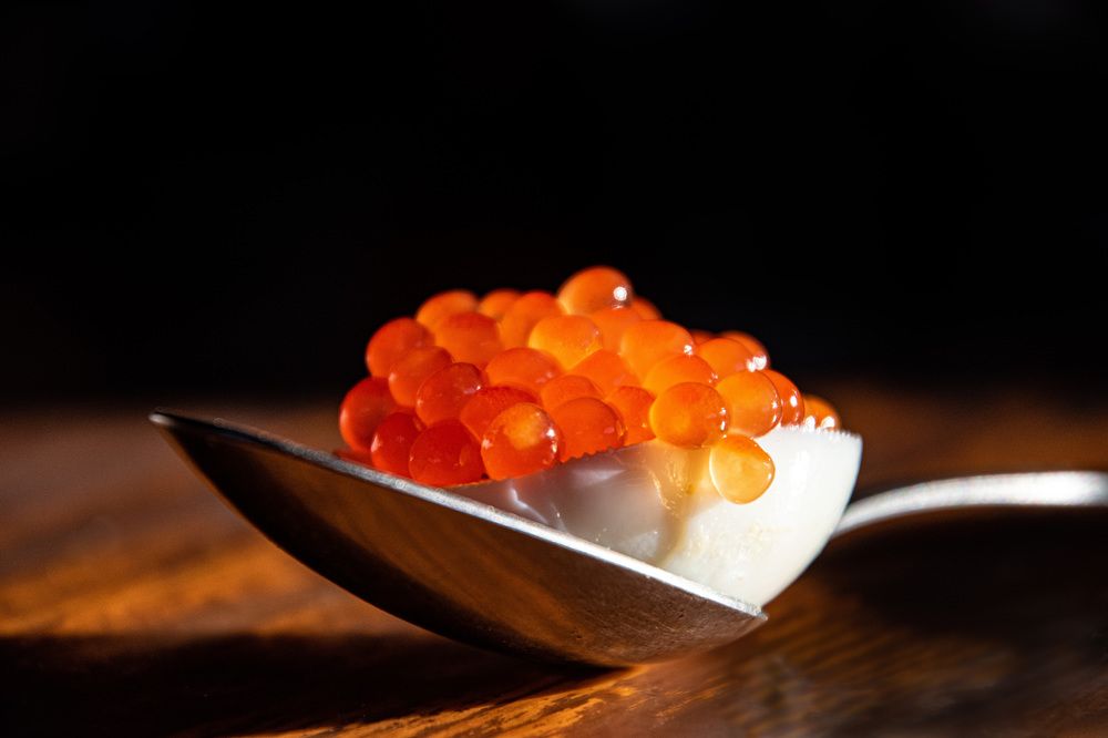 Фотография автора Рохмистрова Мария