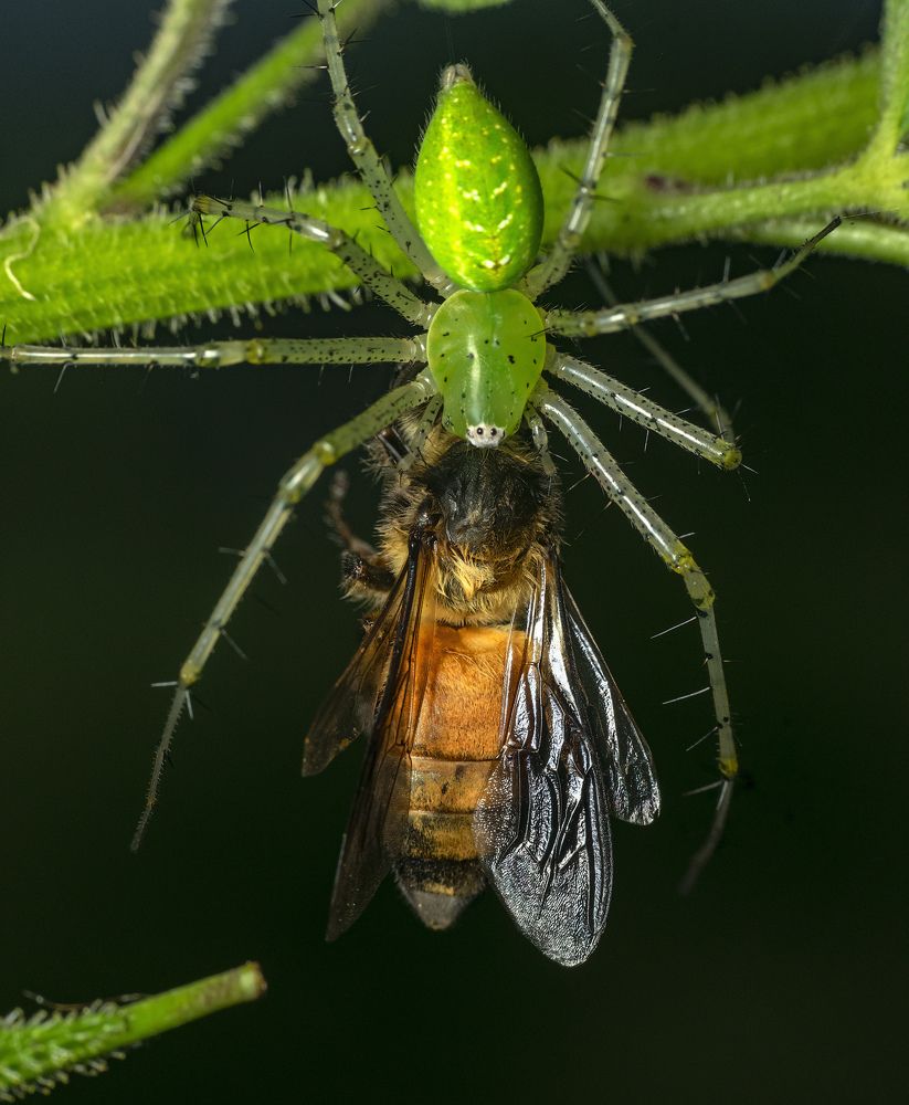 Photograph by Asamanj Maiti