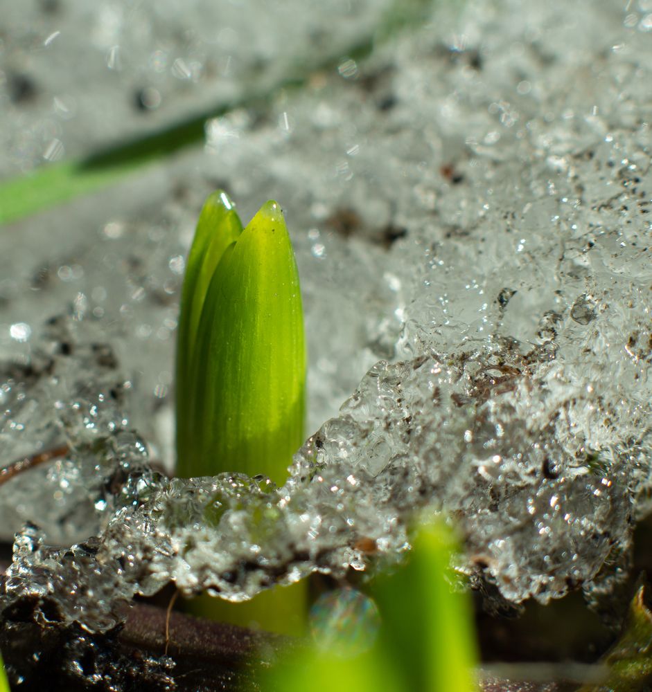 Photograph by Маргарита Дугалева