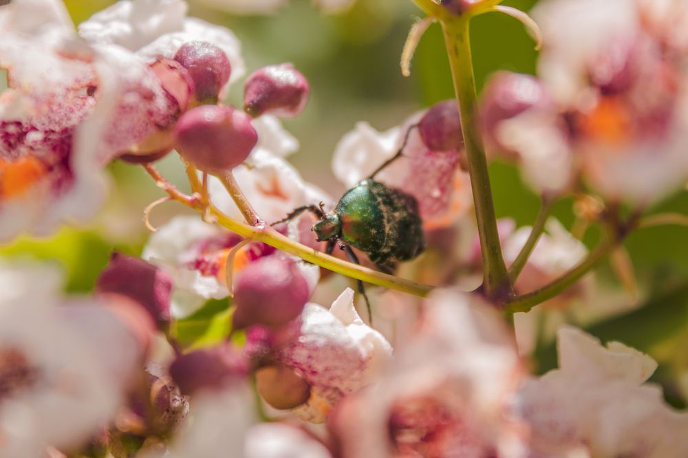 Photograph by Даниил Щербаков