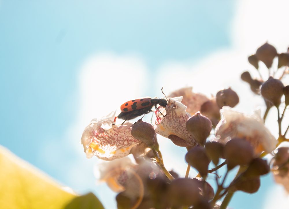 Photograph by Даниил Щербаков