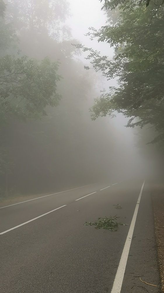 Photograph by Елена Акимова