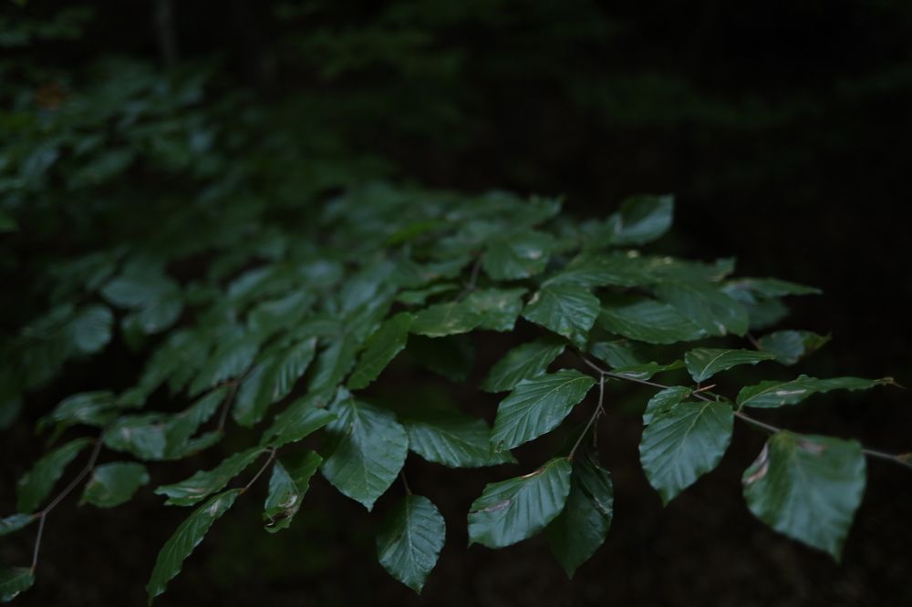 Photograph by Виктория Бурова