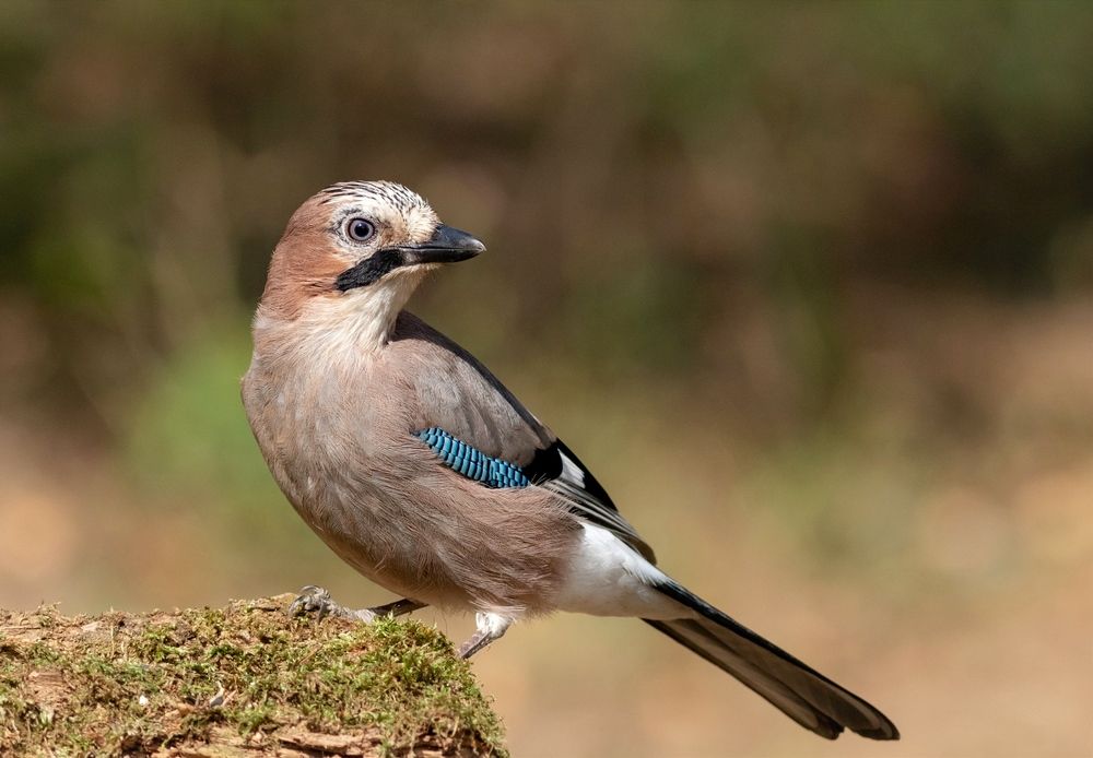 Photograph by Павел Краснослободцев