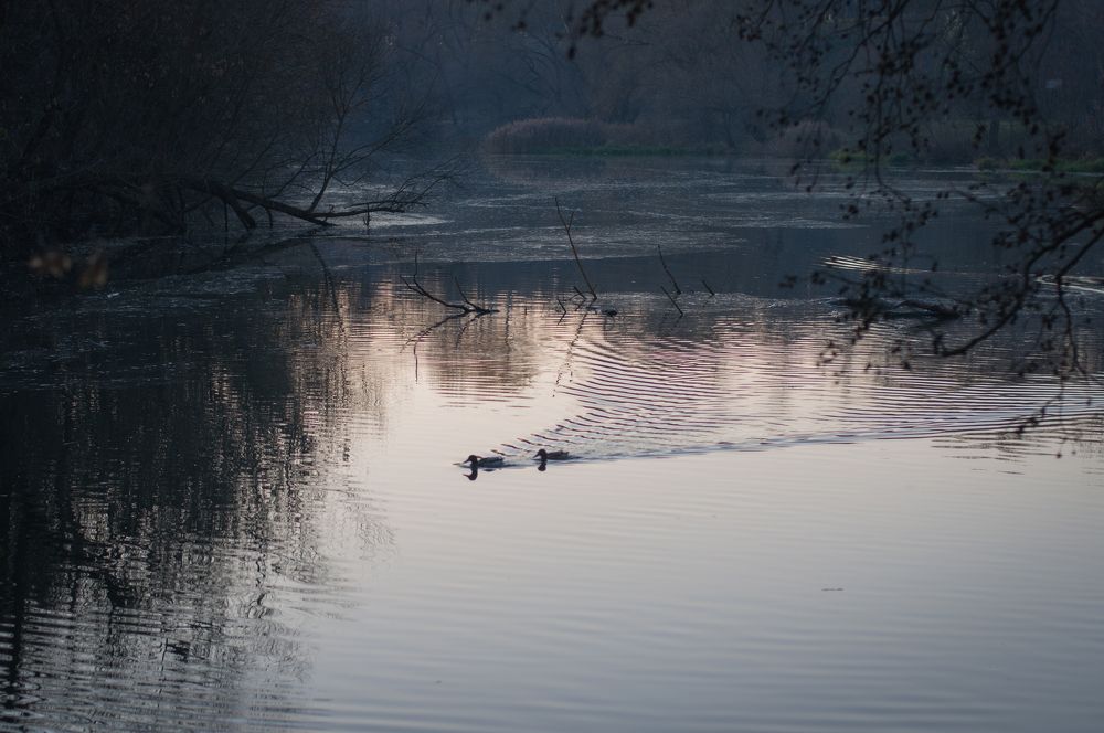Photograph by Олеся Лагутина