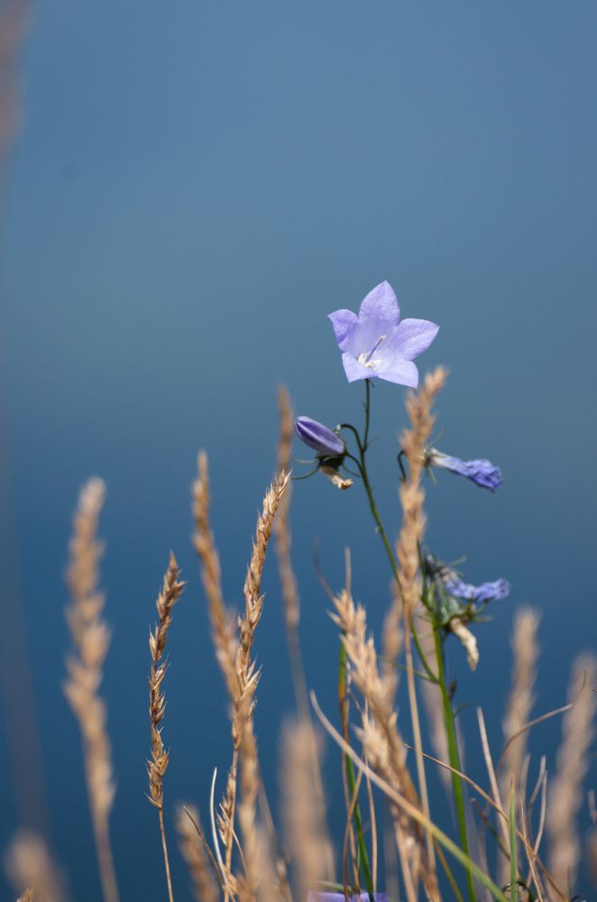 Photograph by Alena Vaganova