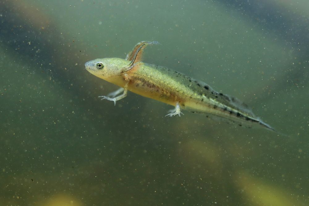 В невесомости