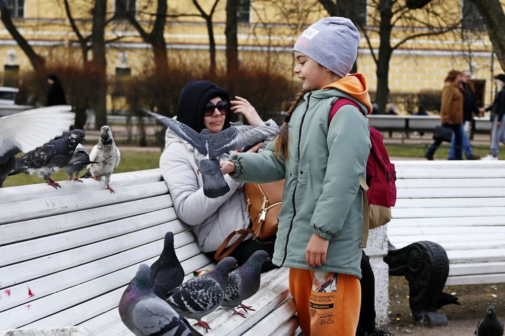 Фотография автора Геннадий Титов