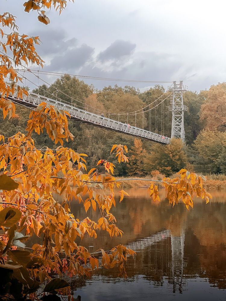 Photograph by Елена Башмакова